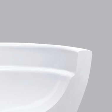 Geberit 300 Basic Lunette cuvette avec couvercle amortisseur pour WC  suspendu Rimfree Blanc - S8H51204000G 