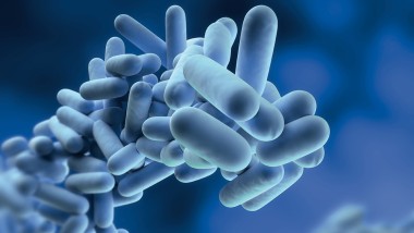 Drinking water hygiene, legionella